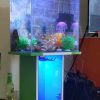 Cabinet Aquariums