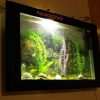 Wall-Mounted Aquarium