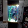 Mini-Tower Aquarium